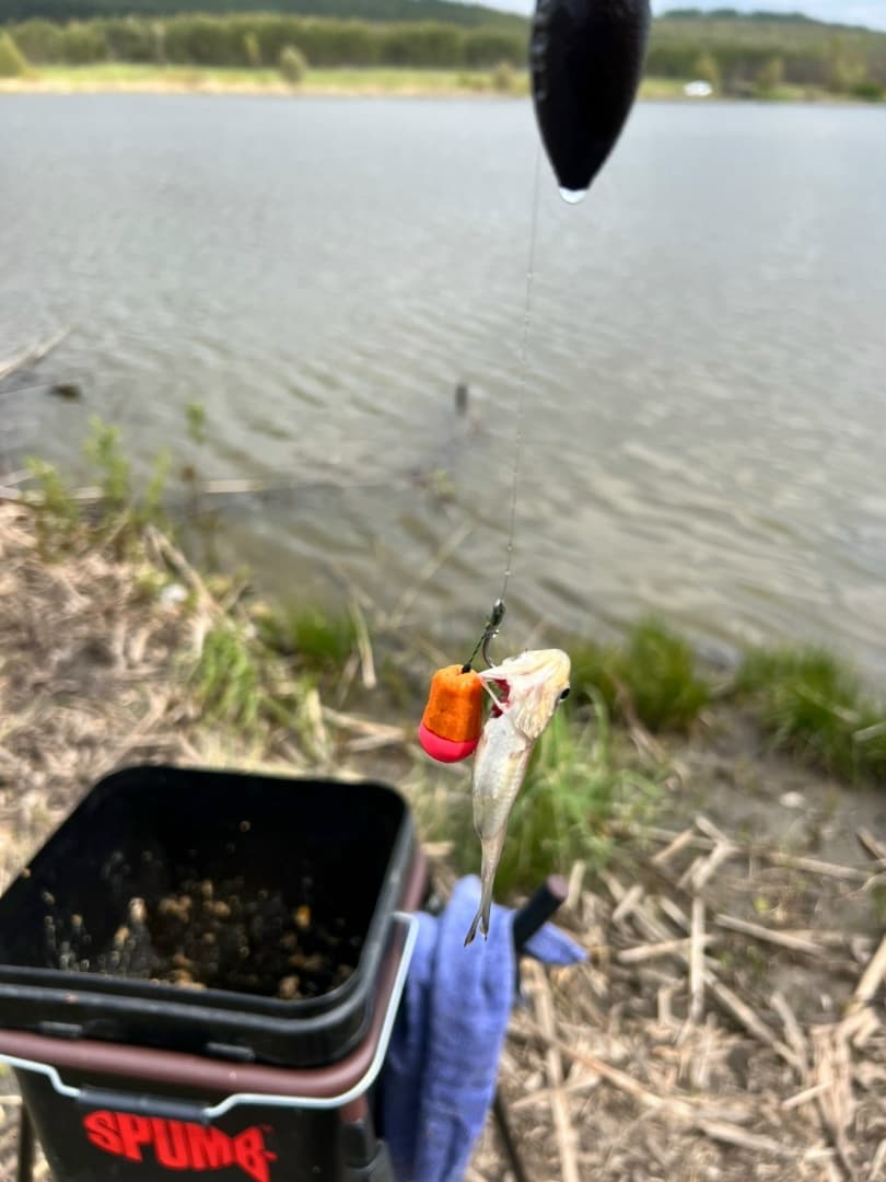 Соревнования рыболовов